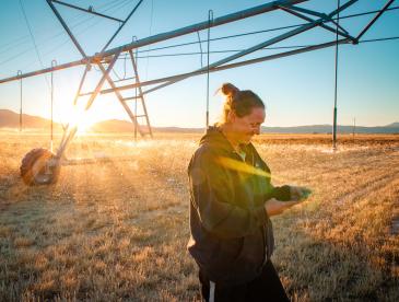 Denise Moyle uses an online platform called OpenET to check water use on her Nevada farm