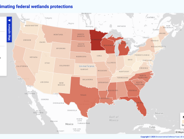 Map of USA that shows how many wetlands are at risk